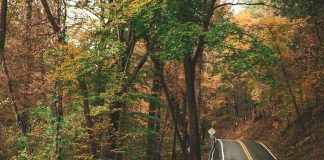 Ifarhu Gob Pa: ¿Cómo Acelerar Tu Proceso De Beca Eficazmente?