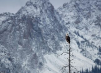 Stanley Motta: ¿Cómo Transformó El Mundo De Los Negocios?