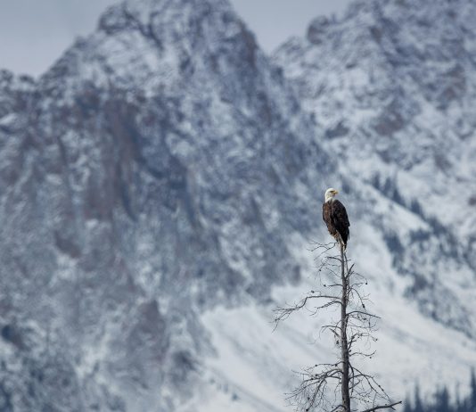 Stanley Motta: ¿Cómo Transformó El Mundo De Los Negocios?