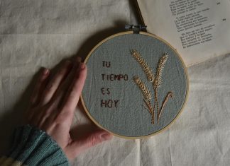 PanamaSolidario: ¿Cómo Transformar Tu Comunidad Hoy Mismo?