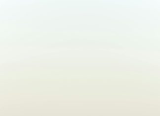 Maribel Gordon: ¿Quién Es y Por Qué Su Historia Fascina Tanto?