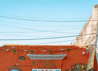 Comida De La Etnia Negra: Descubre Sabores Auténticos y Únicos