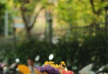 Beca Universal 2022: ¿Cómo Aumentar Tus Oportunidades Educativas?