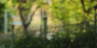 Beca Universal 2022: ¿Cómo Aumentar Tus Oportunidades Educativas? Noticias de Panamá