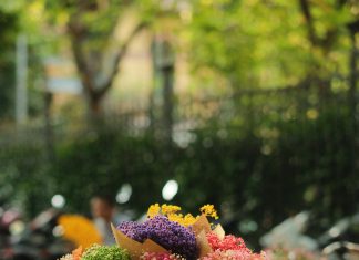 Beca Universal 2022: ¿Cómo Aumentar Tus Oportunidades Educativas?