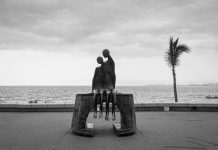 Palmeras: ¿Cómo Transforman Tu Jardín En Un Paraíso Tropical?