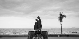 Palmeras: ¿Cómo Transforman Tu Jardín En Un Paraíso Tropical? Noticias de Panamá