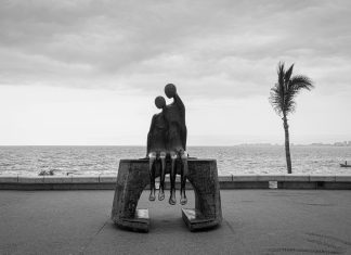 Palmeras: ¿Cómo Transforman Tu Jardín En Un Paraíso Tropical?