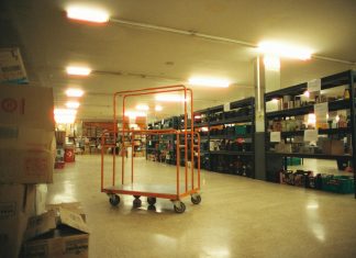 Dana Castañeda: Descubre Los Secretos De Su Éxito Sorprendente