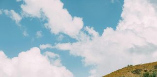 Periódicos Diarios de Panamá: ¿Cuál Es el Más Influyente? Noticias de Panamá