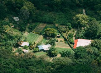 Panamá Jamaica: ¿Cuál Destino Te Robará el Corazón?
