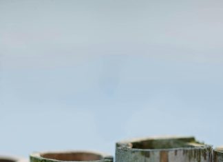 Dólar: ¿Cómo Afecta Tu Economía y Decisiones Financieras?