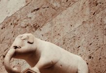 Elecciones 2024 Panamá: ¿Qué Sorpresas Nos Depara el Futuro?