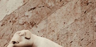 Elecciones 2024 Panamá: ¿Qué Sorpresas Nos Depara el Futuro? Noticias de Panamá