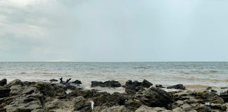 Martinelli: ¿Por Qué Este Producto Es Indispensable Para Ti? Noticias de Panamá