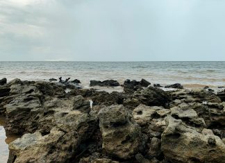 Martinelli: ¿Por Qué Este Producto Es Indispensable Para Ti?