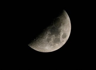 www Panamá Solidario Gob Pa Sección Bono: ¿Cómo Acceder Fácilmente?