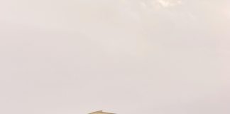 Encuestas Presidenciales 2024: ¿Qué Revelan Sobre Nuestro Futuro? Noticias de Panamá