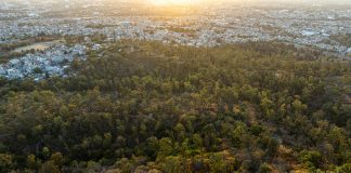 Cerro Silvestre: ¿Qué Secretos Esconde Este Encantador Lugar? Noticias de Panamá