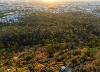 Cerro Silvestre: ¿Qué Secretos Esconde Este Encantador Lugar?