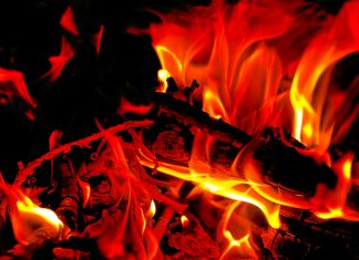 Combustible: ¿Cómo Aprovechar Panamásolidario.gob.pa Eficazmente?