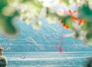 Consultar Bono Solidario: Descubre Cómo Acceder a Tu Ayuda