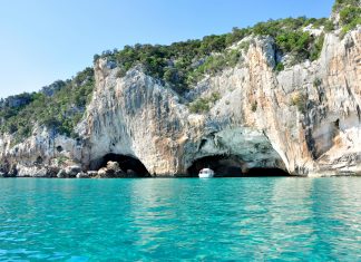 Miah Catalina: ¿Cómo Transformar Tu Estilo de Vida Con Ella?