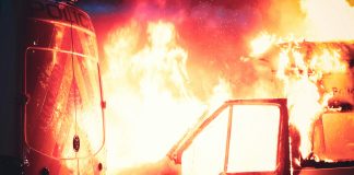 Avon Panamá: Descubre Los Secretos De Belleza Que Sorprenden Noticias de Panamá