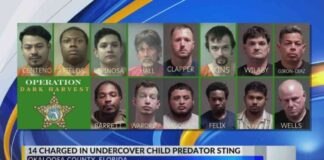 Arrestos de 14 hombres por el Sheriff del Condado de Okaloosa durante operativo contra depredadores sexuales infantiles arrestos-de-14-hombres-por-el-sheriff-del-condado-de-okaloosa-durante-operativo-contra-depredadores-sexuales-infantiles