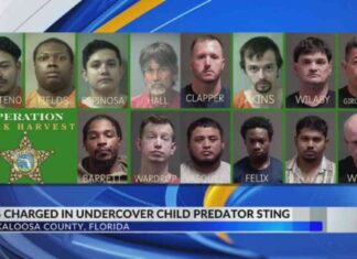 Arrestos de 14 hombres por el Sheriff del Condado de Okaloosa durante operativo contra depredadores sexuales infantiles arrestos-de-14-hombres-por-el-sheriff-del-condado-de-okaloosa-durante-operativo-contra-depredadores-sexuales-infantiles