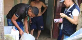 Aumento Casos Dengue: Autoridades Refuerzan Campañas Prevención aumento-casos-dengue-autoridades-refuerzan-campaas-prevencin