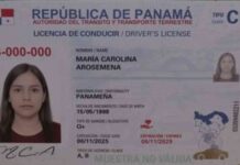 Cambios en la licencia de conducir a partir del 6 de noviembre cambios-en-la-licencia-de-conducir-a-partir-del-6-de-noviembre
