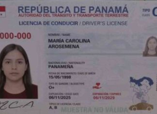 Cambios en la licencia de conducir a partir del 6 de noviembre cambios-en-la-licencia-de-conducir-a-partir-del-6-de-noviembre