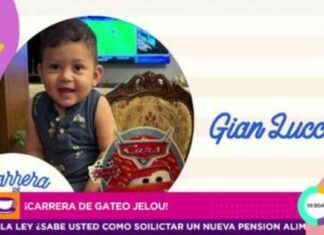 Competencia de gateo adorable de Jelou en video. competencia-de-gateo-adorable-de-jelou-en-video