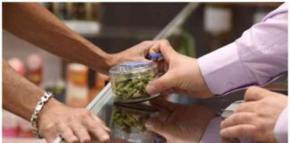 Demanda Acusa al Estado de Retrasar Medida de Marihuana demanda-acusa-al-estado-de-retrasar-medida-de-marihuana