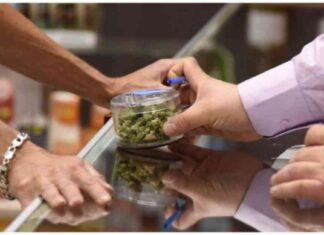 Demanda Acusa al Estado de Retrasar Medida de Marihuana demanda-acusa-al-estado-de-retrasar-medida-de-marihuana