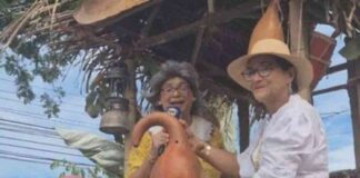 Desfile de Carretas en Guararé: TVN Media en el Festival de la Mejorana desfile-de-carretas-en-guarar-tvn-media-en-el-festival-de-la-mejorana