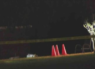 Fallece sospechoso en tiroteo con la policía: Últimas noticias. fallece-sospechoso-en-tiroteo-con-la-polica-ltimas-noticias