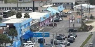 Juez federal aprueba venta de propiedad de Gulf World y pospone decisión de Marineland juez-federal-aprueba-venta-de-propiedad-de-gulf-world-y-pospone-decisin-de-marineland