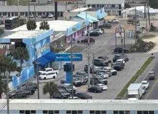 Juez federal aprueba venta de propiedad de Gulf World y pospone decisión de Marineland juez-federal-aprueba-venta-de-propiedad-de-gulf-world-y-pospone-decisin-de-marineland