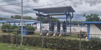 Impacto de las intensas lluvias en plantas de agua de Veraguas mpacto-de-las-intensas-lluvias-en-plantas-de-agua-de-veraguas