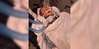 Mujer de Chipley enfrenta cargo por DUI tras accidente de UTV que lesiona gravemente al pasajero mujer-de-chipley-enfrenta-cargo-por-du-tras-accidente-de-utv-que-lesiona-gravemente-al-pasajero