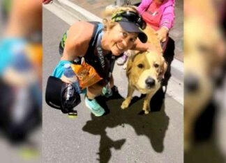 Mujer de Tampa corre su 100º Ironman en Panama City Beach mujer-de-tampa-corre-su-100-ronman-en-panama-city-beach
