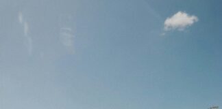 Gran Terminal Nacional De Transporte: ¿La Mejor Opción Para Viajar? Noticias de Panamá