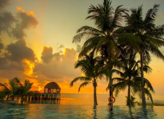 Benicio Robinson: ¿El Secreto Detrás de Su Éxito Inigualable?