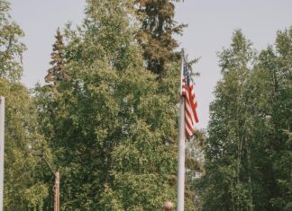 3 De Noviembre Panamá: ¿Por Qué Celebramos Esta Fecha Especial?