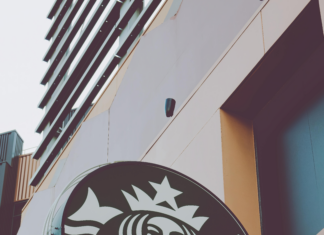 Logo De La Universidad De Panamá: Historia Y Significado Revelador