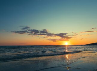 Punta Paitilla: Descubre Los Secretos De Este Paraíso Urbano