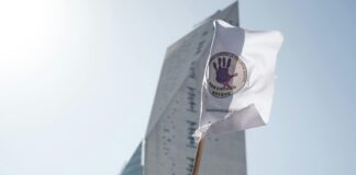 Verificar Salvoconducto Mici: ¿Cómo Asegurar Tu Seguridad Legal? Noticias de Panamá