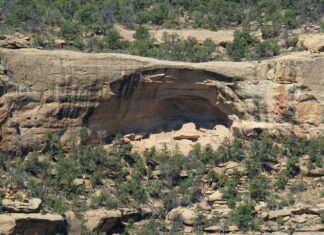 Delfia Cortez Biografía: Descubre Su Fascinante Vida y Legado